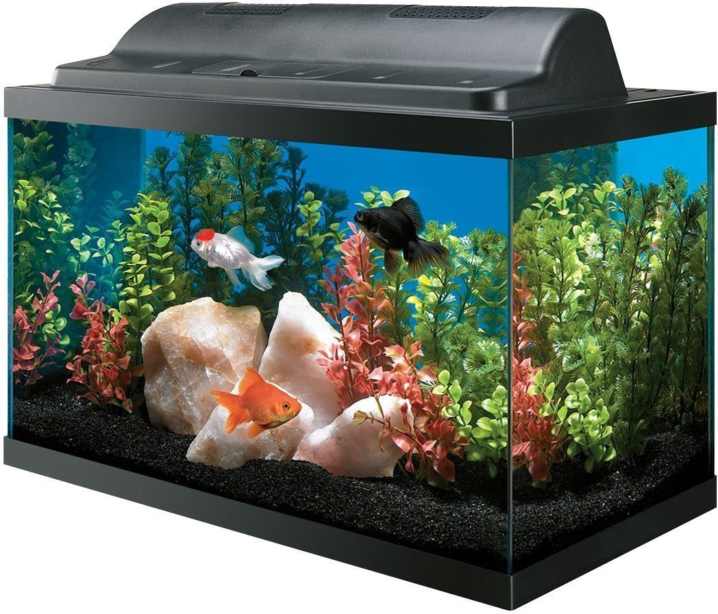 All Glass Aquarium AAG09009 Tank and Eco Hood Combo