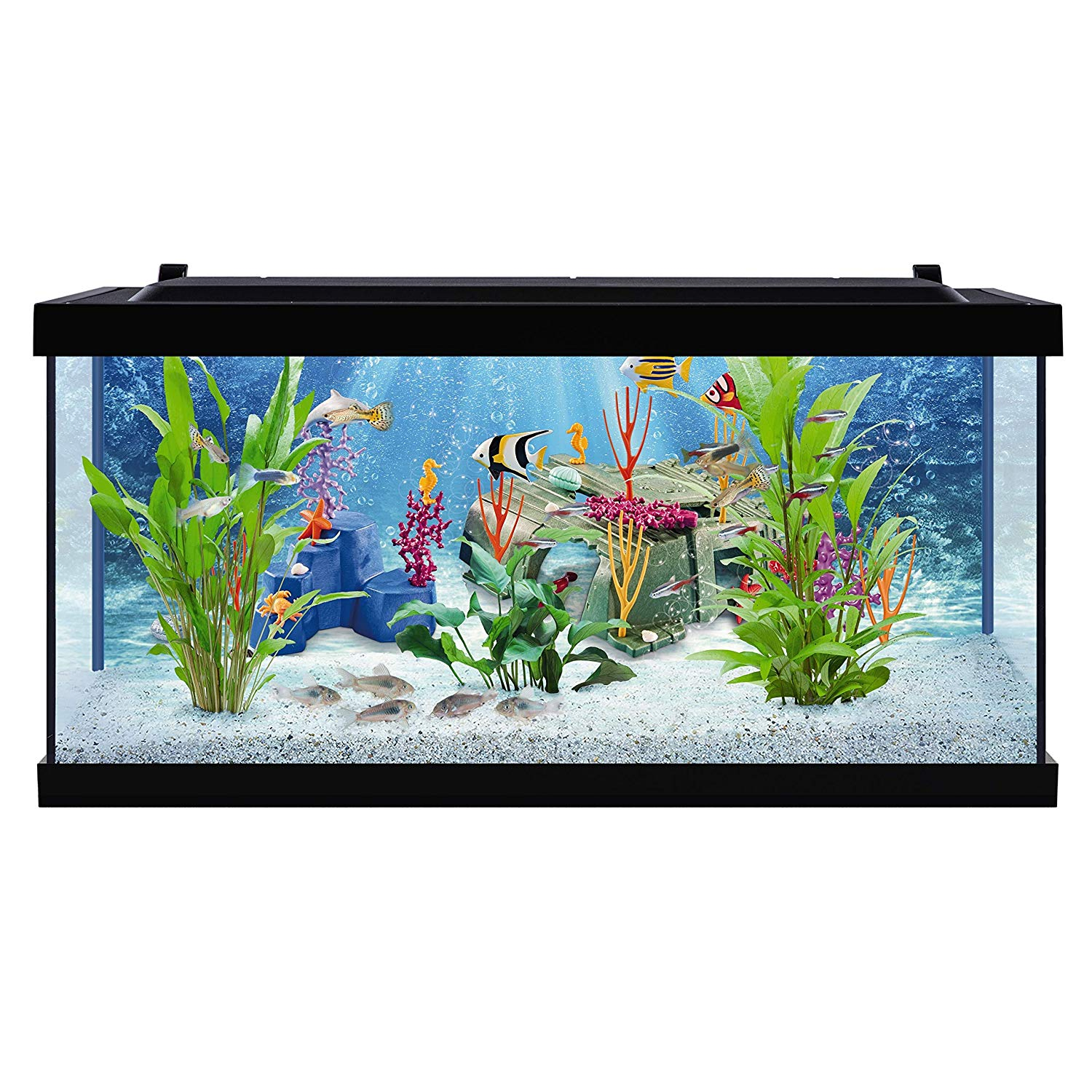 Tetra PLAYMOBIL Explore Your Aquarium 10 Gallon Kit