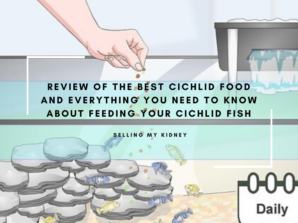 Best Cichlid Food
