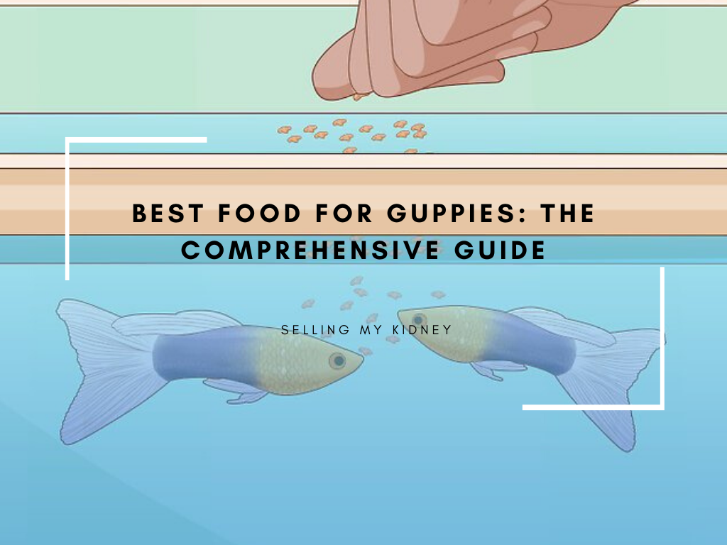 Best Food for Guppies: The Comprehensive Guide