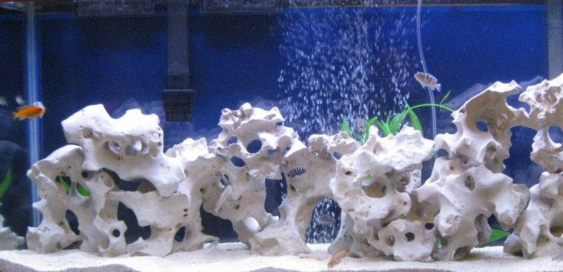 Best Rocks for Freshwater Aquarium