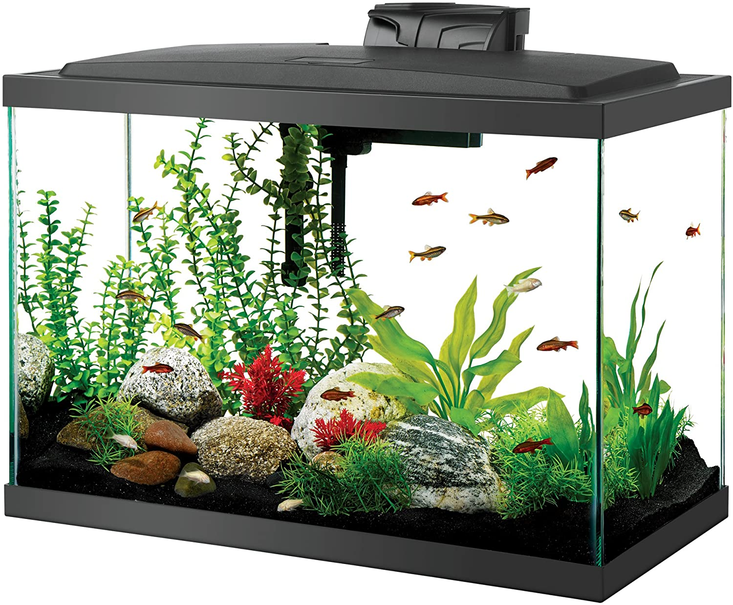 Aqueon LED Aquarium Kit 20H Black