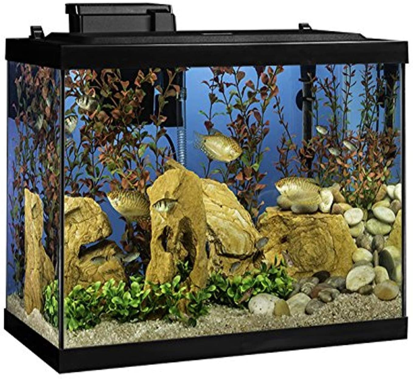 Tetra 20-Gallon Complete Aquarium Kit