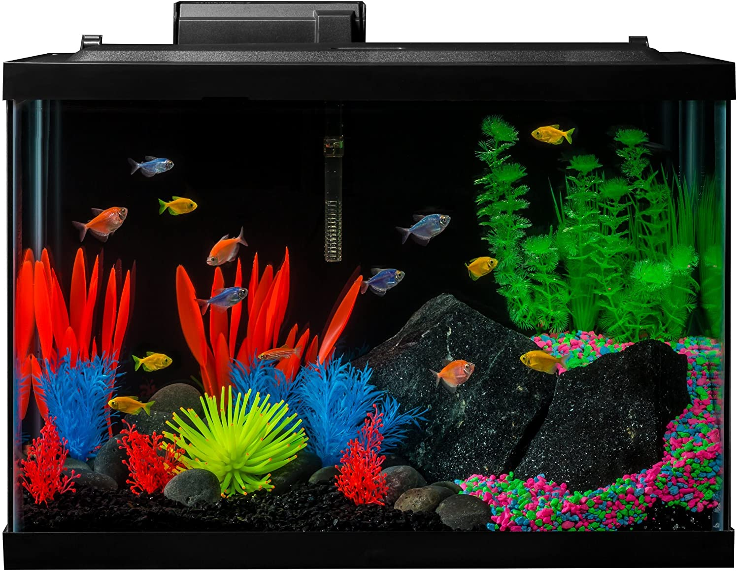 GloFish Aquarium Kit Fish Tank with LED Lighting and Filtration Included