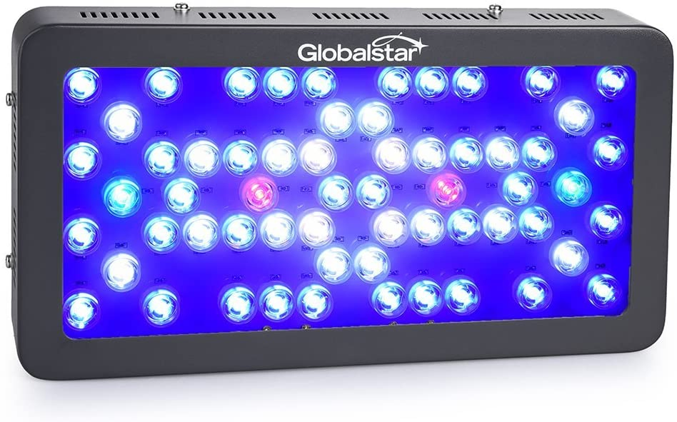 LEDGLE Led Aquarium Light