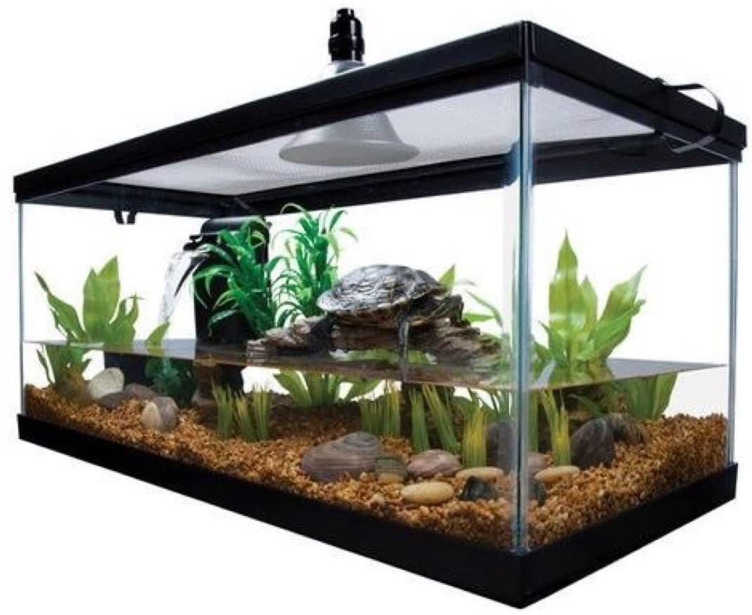 Reptile Habitat Tank for Turtle