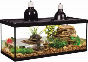 tetra aquatic Turtle 20 Gallon